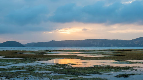 Scenic view of beach against sky during sunset