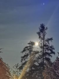 Low angle view of silhouette trees against sky