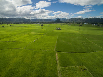 Scenic view of field against sky