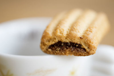 Close-up of dessert in plate