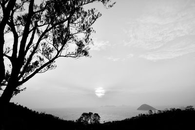 Silhouette trees on landscape against sky