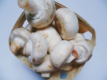 Close-up of mushrooms against white background