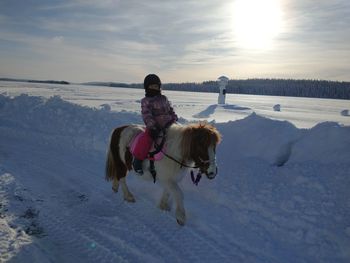 Horse on snow covered landscape