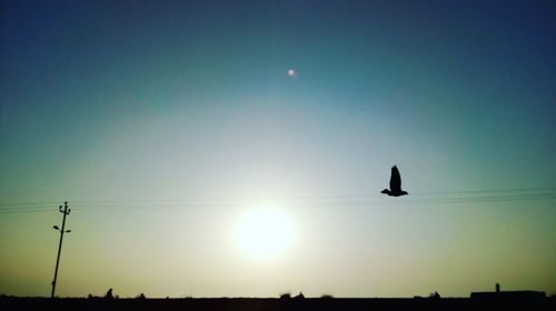 Low angle view of silhouette bird flying against clear sky
