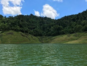 Scenic view of lake in forest against sky