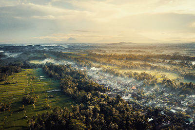 High angle view of trees on landscape against sky