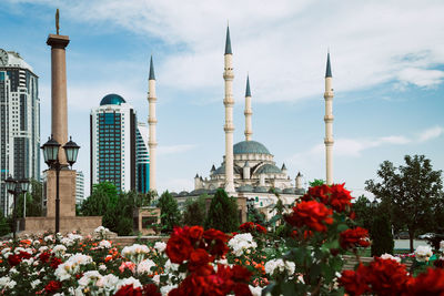 Low angle view of flowering plants against buildings