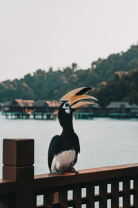 Bird perching on railing by lake against sky