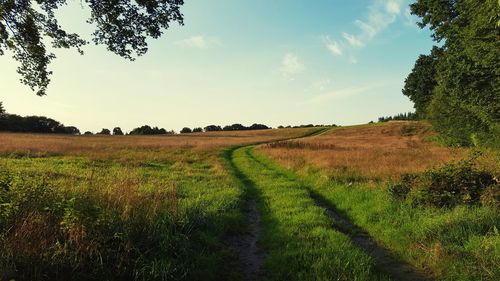 Scenic view of agricultural field against sky