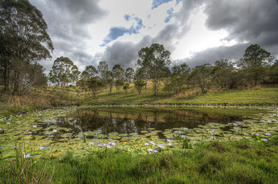 Scenic view of lake against cloudy sky