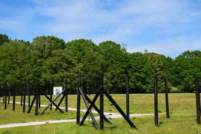 Trees growing on field against sky