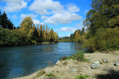 Scenic view of river amidst trees against sky