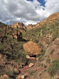 Scenic view of landscape against sky