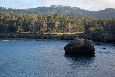 Scenic view of rocks by trees against sky