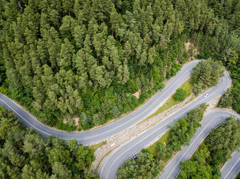 High angle view of road amidst trees