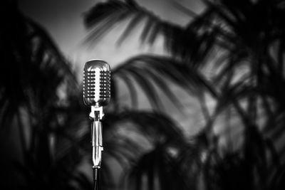 Microphone against plants at night