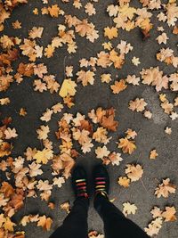 Low section of person standing on autumn leaves