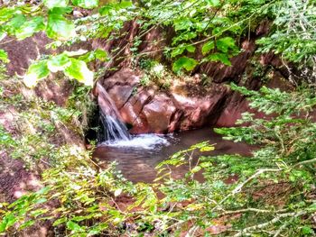 Scenic view of waterfall in forest