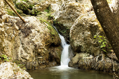 Stream flowing through rocks in forest