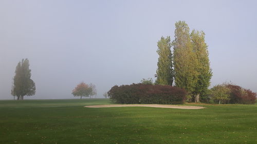 Trees on field against clear sky