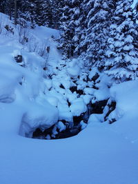 Snow covered land and trees