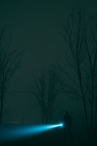 Silhouette man standing by bare tree at night