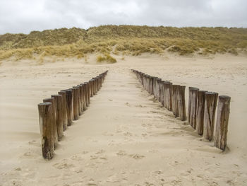 Wooden posts on beach