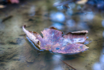 Close-up of water