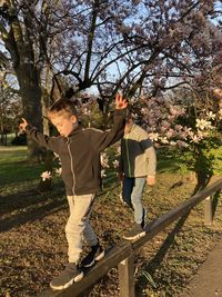 Low angle view of boys with magnolia in background 