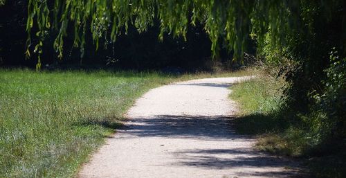Footpath leading towards trees
