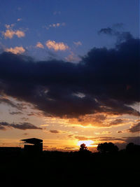 Silhouette of trees at sunset