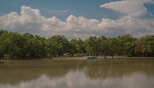 Scenic view of lake by trees against sky