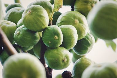 Full frame shot of fruits