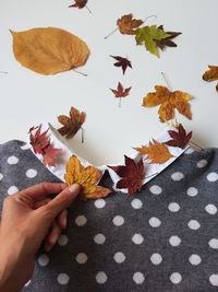 Cropped hand of woman arranging autumn leaves on dress over white background