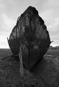 Close-up of damaged rock on beach against sky