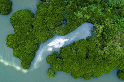 High angle view of river amidst trees