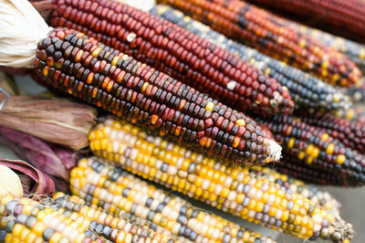 High angle view of corns for sale at market