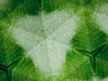 Full frame shot of abstract background