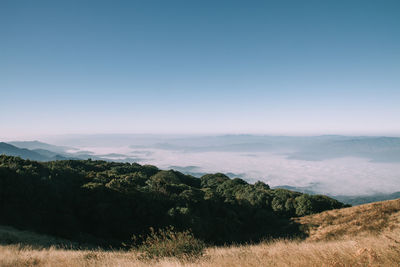 Scenic view of landscape against clear sky