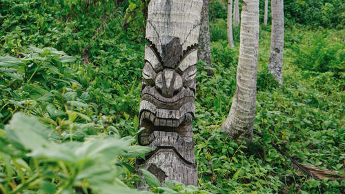 Low angle view of tree trunk