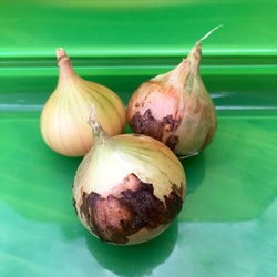 Close-up of onions on green plate