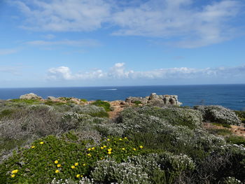 Scenic view of sea against sky