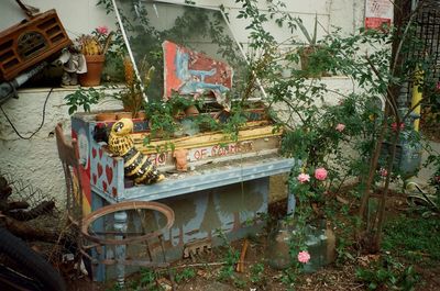 Built structure with plants in foreground