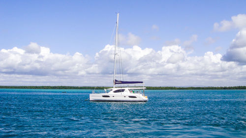 Sailboat sailing on sea against sky