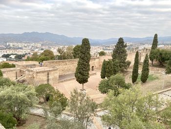 Panoramic view of trees and plants against cloudy sky