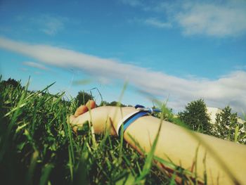 Arm with estonian flag wristband on grass in the summer