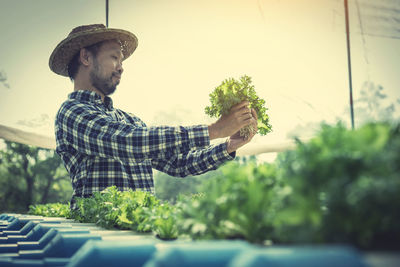 Male farmer examining crops growing in greenhouse