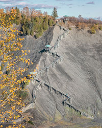 High angle view of road amidst trees