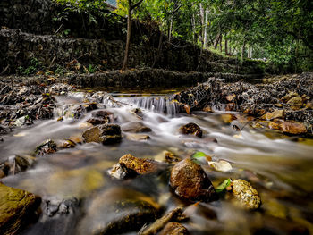 Scenic view of waterfall in forest