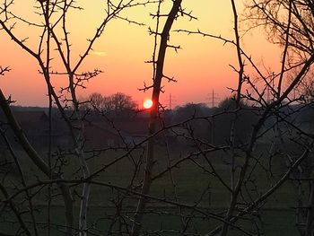 Sun shining through trees